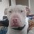 Jade Deanna Smith's profile image