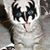 Ginger Greene-Royster's profile image