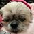 Sue Alaimo Kelley's profile image