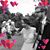 Sarah Finney's profile image