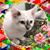 Tara Greenbaum's profile image