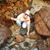 Paula Williams-Ridge's profile image
