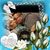 Mark Lopez's profile image