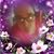 Maddy Ellis's profile image