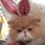 Barb Hornberger's profile image