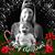 Danielle Sluiter's profile image