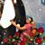 Sandi Stedman Nasca's profile image