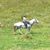 Yvonne Clayton Howard's profile image