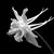 Melorie J. Vasquez's profile image