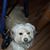 Betty Jean Plumadore's profile image