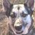 Leticia Ramirez Ruiz's profile image