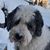 Terri LeClaire's profile image