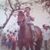 Daniel De Los Santos's profile image