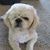 Sandy Tipton Jensen's profile image