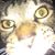 Teresa Hallmon Lyon's profile image