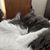 Kristine Cooper's profile image