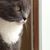 Lynn R Small's profile image
