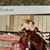 Amy Grisham's profile image