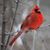 Kathy Richards's profile image