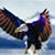 Randy Grantham's profile image