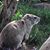 Gunhild Johnson's profile image