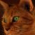 Sandi Leiter's profile image