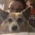 Miranda Herren's profile image