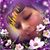 Stephanie Pina's profile image