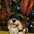 Christa Cargill's profile image