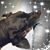 Felice Ford's profile image