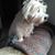 Christine Spencer's profile image