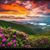 Donna Ingram-Claude's profile image