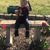 Angel Hawkins-Pinson's profile image