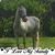 Jessica Estock-Stantcheva's profile image