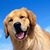 Katherine Heberling's profile image