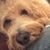 Wendy Rohwer's profile image