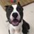 Carol Birdwell's profile image