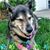 Rose Lenart's profile image