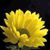 Kathy Bostick's profile image