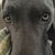 Sherry Alton's profile image
