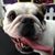 Anne Deetjen Perron's profile image