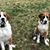 Jill Amerson Kidd's profile image