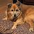 Susan Erwin's profile image