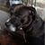 Margie Chilelli's profile image