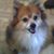 StephanieTim Reilly's profile image