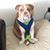 Abel Aviles's profile image
