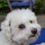 Kathy Reeves's profile image
