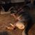 Candy Bernick's profile image
