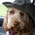 Darin Clark's profile image