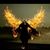 Latie Kel's profile image